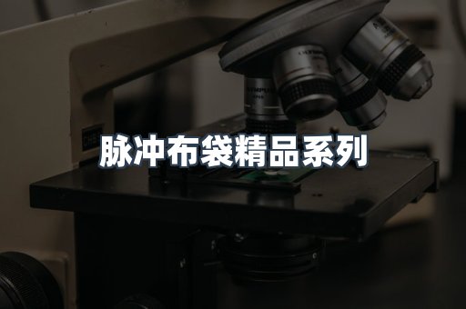 脉冲布袋精品系列